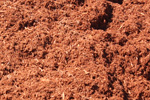 Hemlock mulch